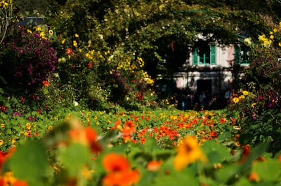 7 techniques efficaces et simples pour le nettoyage de ses mobiliers de jardin en plastique